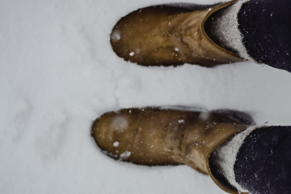 Wet winter boots draining on a tray beside an entry door